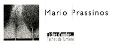 carton d'invitation de l'expostion 'Mario Prassinos, taches d'ombre, tache de lumière' 